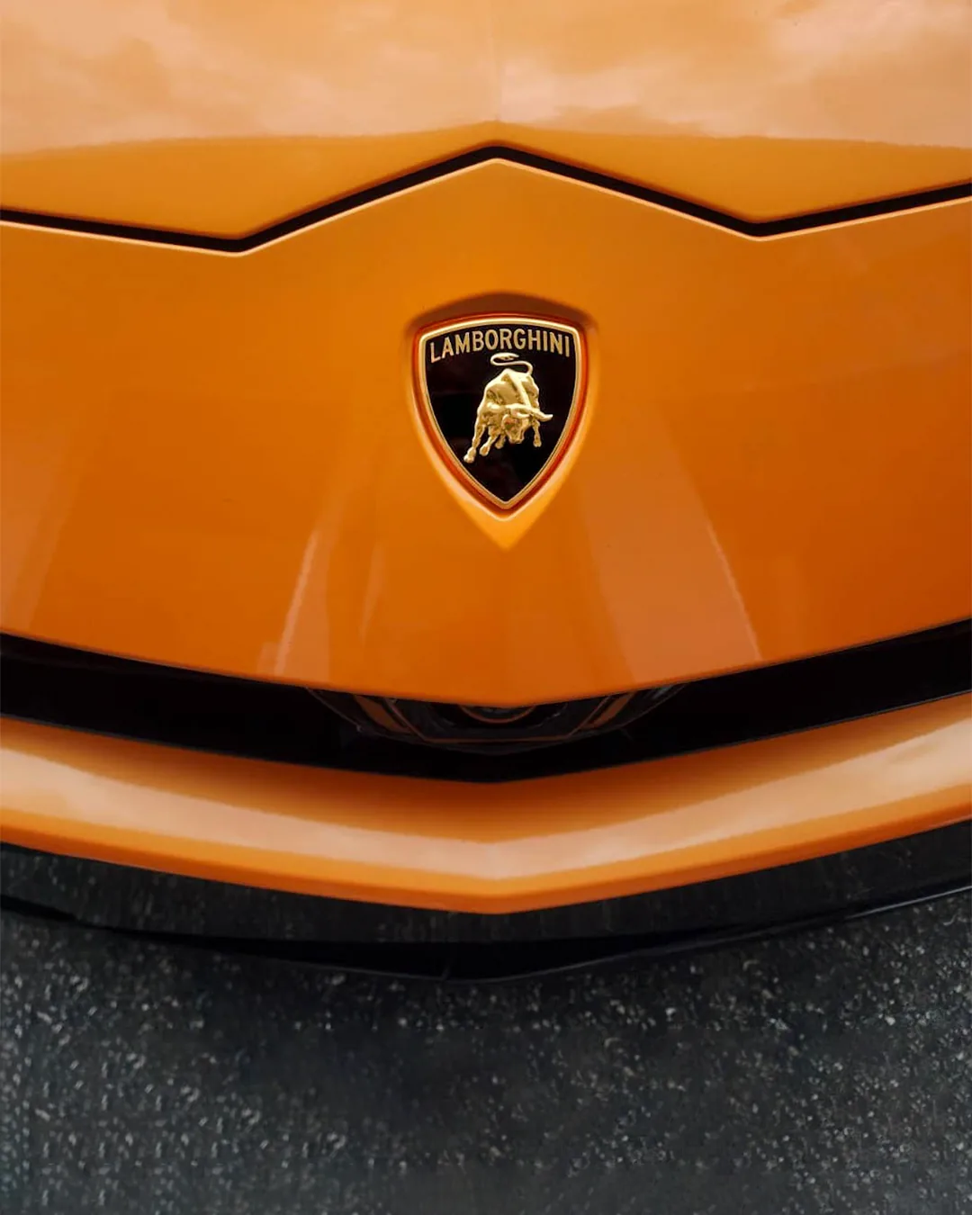 Lamborghini badge on a freshly refinished panel, HA Collision Repair Boca Raton